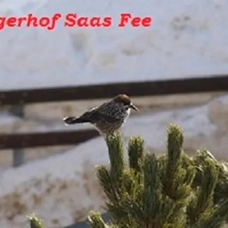 Hotel Garni Jaegerhof 3*