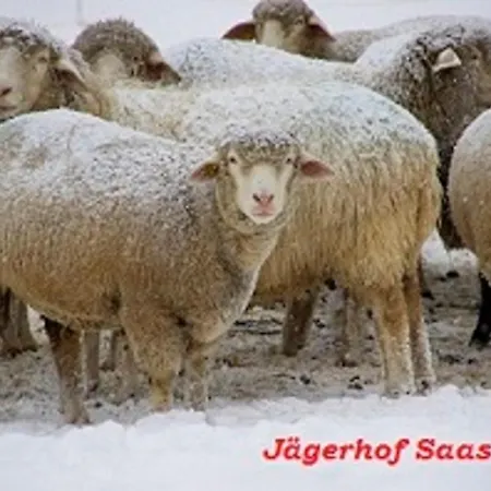 Otel Garni Jaegerhof