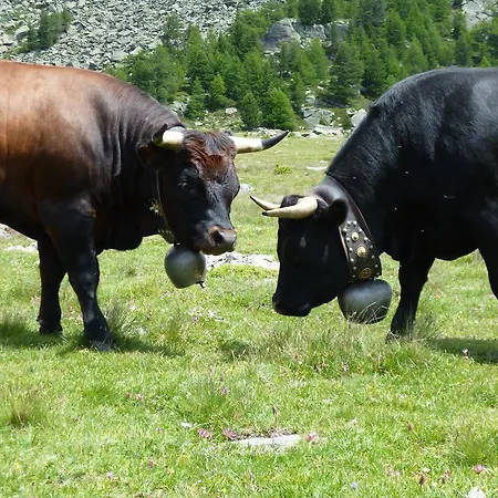 Garni Jaegerhof Saas-Fee