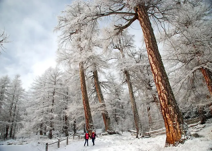 ガルニ イェーハーホフ ホテル サース フェー