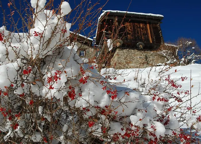 ガルニ イェーハーホフ 3* サース フェー