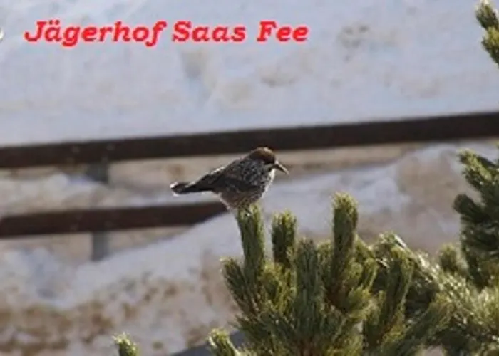 ホテル ガルニ イェーハーホフ 3*