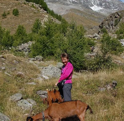 ガルニ イェーハーホフ ホテル