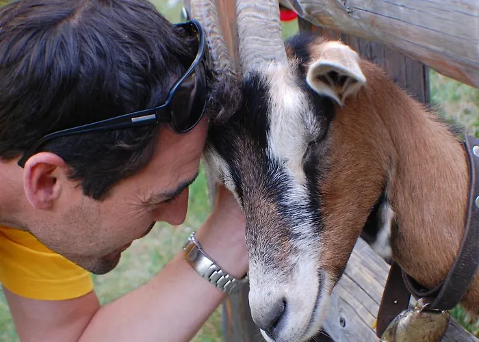 ホテル ガルニ イェーハーホフ