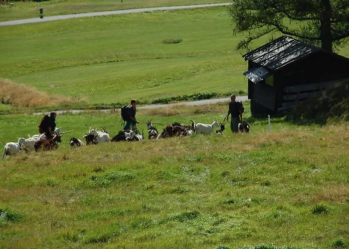 ガルニ イェーハーホフ 3*