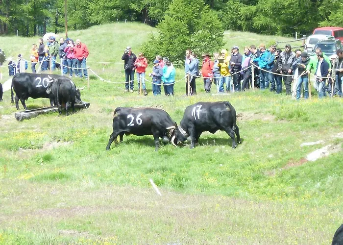 ガルニ イェーハーホフ ホテル