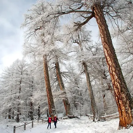 Garni Jaegerhof Hotel Saas-Fee