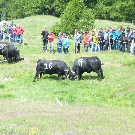 Garni Jägerhof Hotell